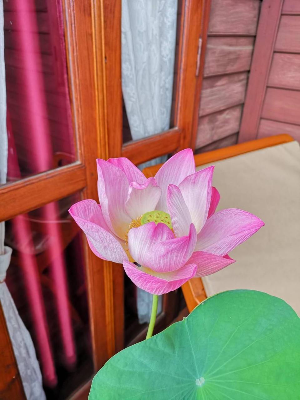 Baan Sithepaban Guesthouse Phitszanulok Kültér fotó